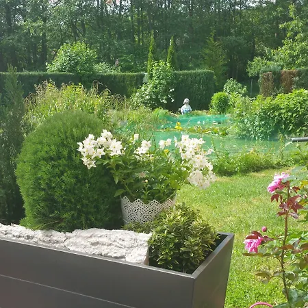 Hotel-pension Am Fuchsberg Maison d'hôtes Bad Doberan