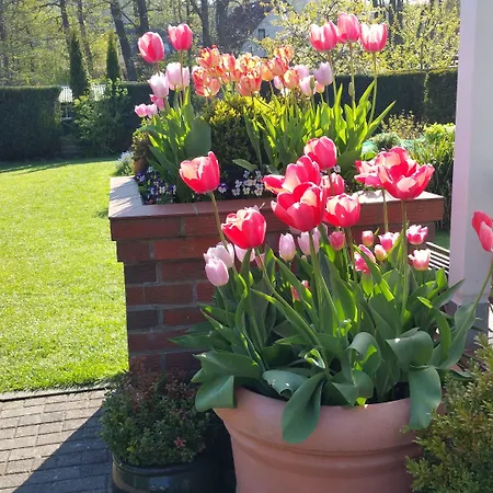 Maison d'hôtes Hotel-pension Am Fuchsberg Bad Doberan